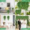 28-Pack Artificial Hanging Plants – 32-Inch Faux Boston Fern Vines, Plastic Greenery, Eucalyptus-Look Indoor Outdoor Wall, Room, and Wedding Décor (No Baskets)